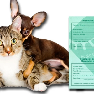 Nuestras Mascotas - Obligaciones