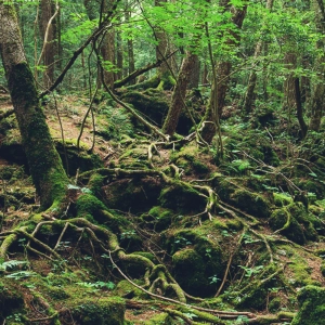 Alienígenas ancestrales: Lugares diabólicos