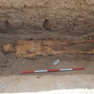 El templo de millones de años de Tutmosis III y la momia maldita. Myriam Seco Prof.ª US. LFDLC. 591