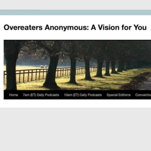 Special Edition A Vision For You traducido 02 AGOSTO 2020 #AV4YOU #OAUVPT