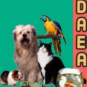 mascotismo del amor a la esclavitud afectiva