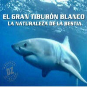 El Gran Tiburón Blanco, la Naturaleza de la Bestia