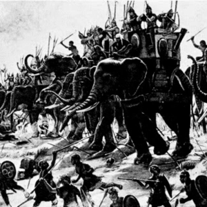 3.- TU HISTORIA DE ROMA. Vencen los plebeyos. Las victorias pírricas.
