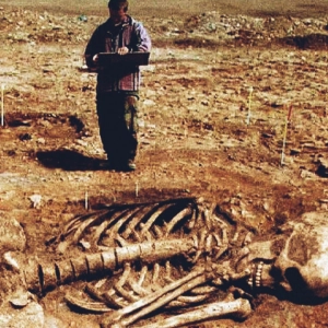 Historia prohibida: El misterio de los gigantes