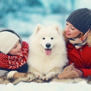 Navidades mascoteras responsables