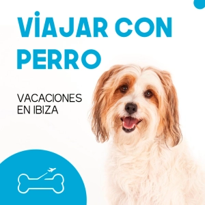 Ep 4. Ibiza con Celia Alesanco @lucca.laloca