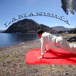 LamaserÍa - IGA Bolivia