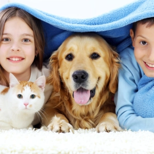 ¿Qué edad de nuestros hijos pequeños es la adecuada para llevar una mascota a casa?