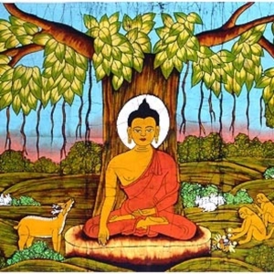 Introducción a la meditación budista