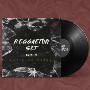 DAVID BRIZUELA REGGAETON MIXTAPES