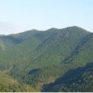 Podcast Naturaleza y Medio Ambiente