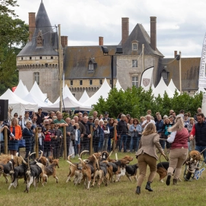 La Fête de la Sange à Sully-Sur-Loire (2/2)