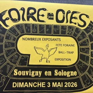 La foire aux oies de Souvigny en Sologne
