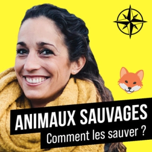 Rediff | Tu veux aider les Animaux Sauvages ? 🦊