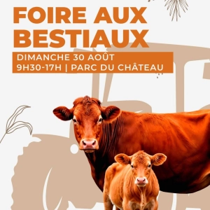 Foire aux Bestiaux 2026 de Sully sur Loire