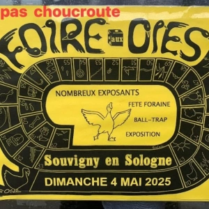 La Foire aux Oies de Souvigny en Sologne