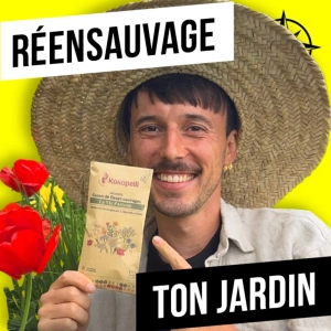 222. Transforme ton jardin en paradis pour la biodiversité (ou même ton balcon !)