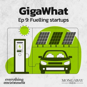 GigaWhat: Fuelling startups