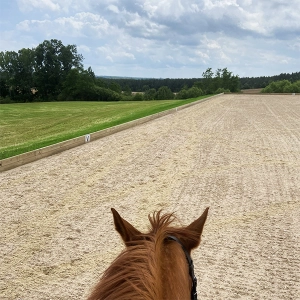 EP 121: The Right Way to Build a Riding Arena