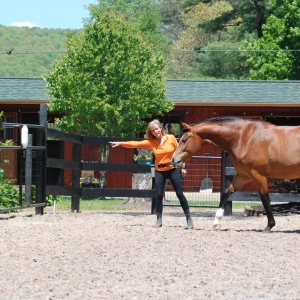 EP 89: Happy Horse Clicking, with Shawna Karrasch