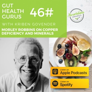 Morley Robbins on Copper Deficiency and Mineral Balance