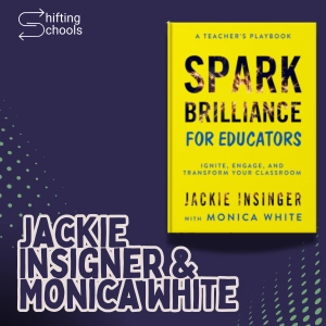What does it mean to 'spark brilliance' in schools?