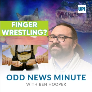 German Finger Wrestling Championships, cat with 29 toes