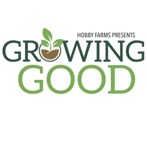 Episode 23: Juliann Salinas on Women, Food & Ag Network, beekeeping, food systems and more