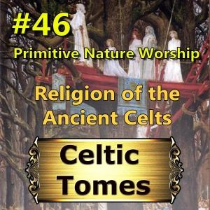 Primitive Nature Worship CT046