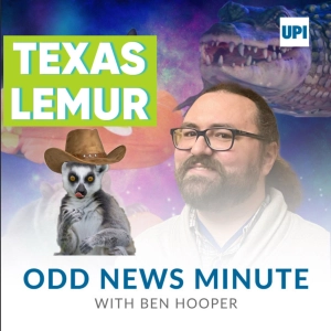 Texas lemur, squid spill