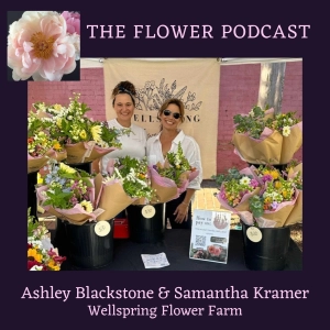 Finding the Wellspring Flower Farm in Monroe, Ga.