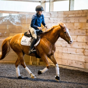 EP 52: A Happy Barn Starts with Good Leadership