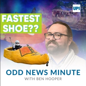 Odds and Ends: Fastest motorized shoe, sheep on the bus
