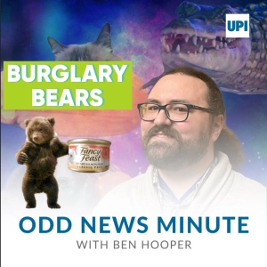 Bear cubs break into Colorado home, 53-year-old message in a bottle