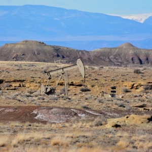 Zinke's Out. What's the Damage to Public Lands?