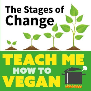 The Stages of Change