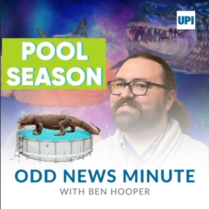 Water monitor takes a swim, world's largest dog pool party