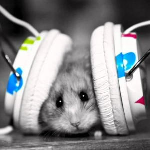 Hotel Kingpin | Essential Mix Episode: 061| Texas Dubstep Sessions
