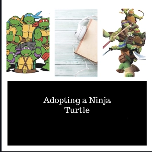 Ep. 4 - Turtles, Turtles, Everywhere