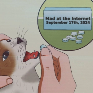 "Stop Hating Tommy C" Pills