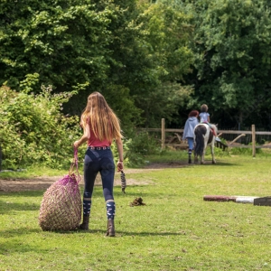 EP 111: How to Be a Good Barn Employee