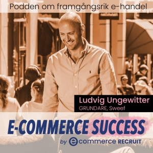 Ludvig Ungewitter, Grundare, Sweef