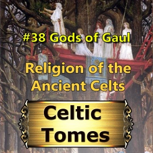 The Gods of Gaul CT038