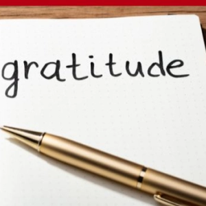 657: Finding Gratitude in Your Hardest Moments: Powerful Lessons from a Challenging Year