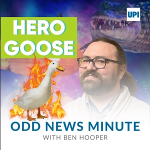 Hero goose saves burning barn, soccer player breaks basketball record