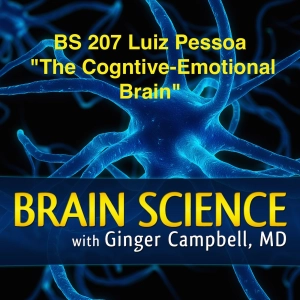 BS 207 Luiz Pessoa "The Cognitive-Emotional Brain"