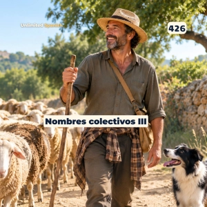 426 Nombre colectivos 3