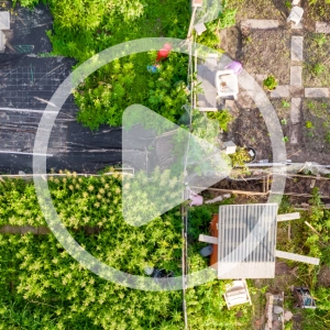 Biomimicry and Soil Health