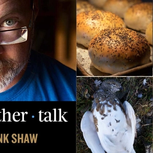 Ptarmigan and Himalayan Snowcock