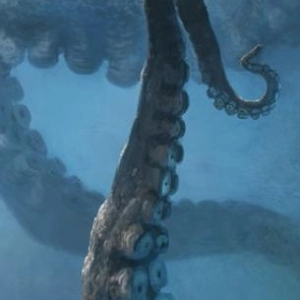 Is the Oklahoma Octopus Legend or Fact?